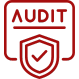 Information System Audits