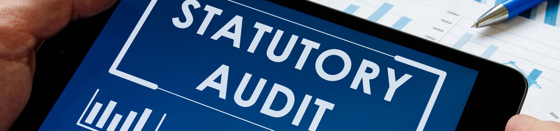 Statutory Audits